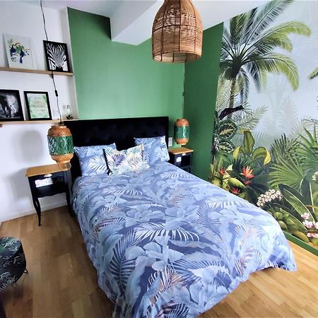 Appartement T2 "Jungle" Centre Ville De Vitre Au Calme Cote Cour Dış mekan fotoğraf