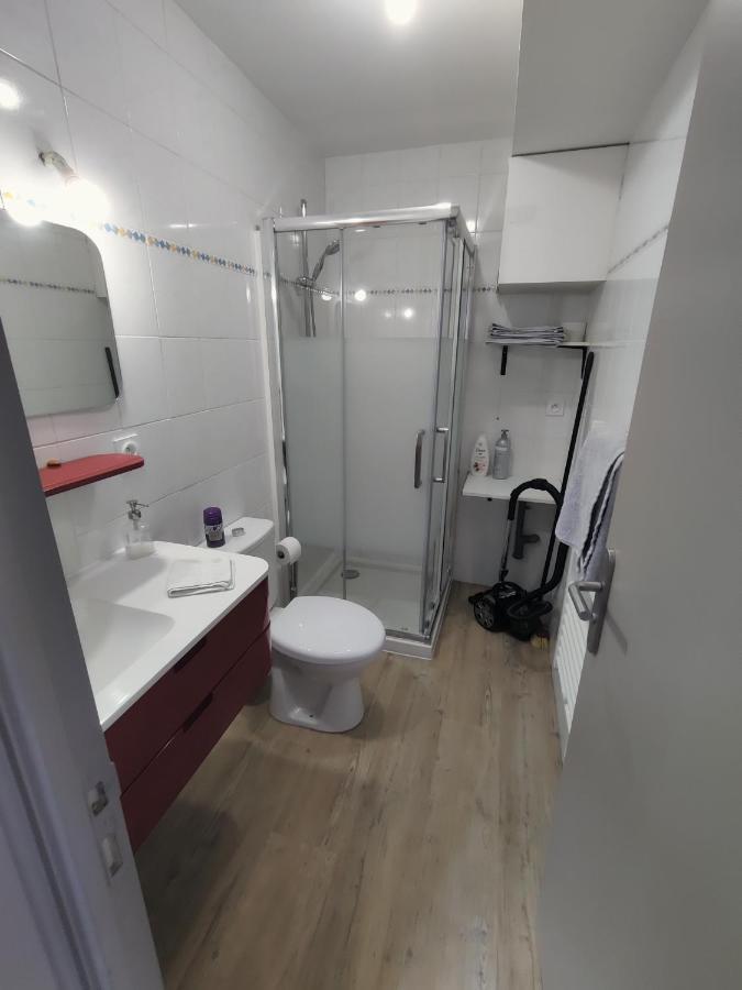 Appartement T2 "Jungle" Centre Ville De Vitre Au Calme Cote Cour Dış mekan fotoğraf