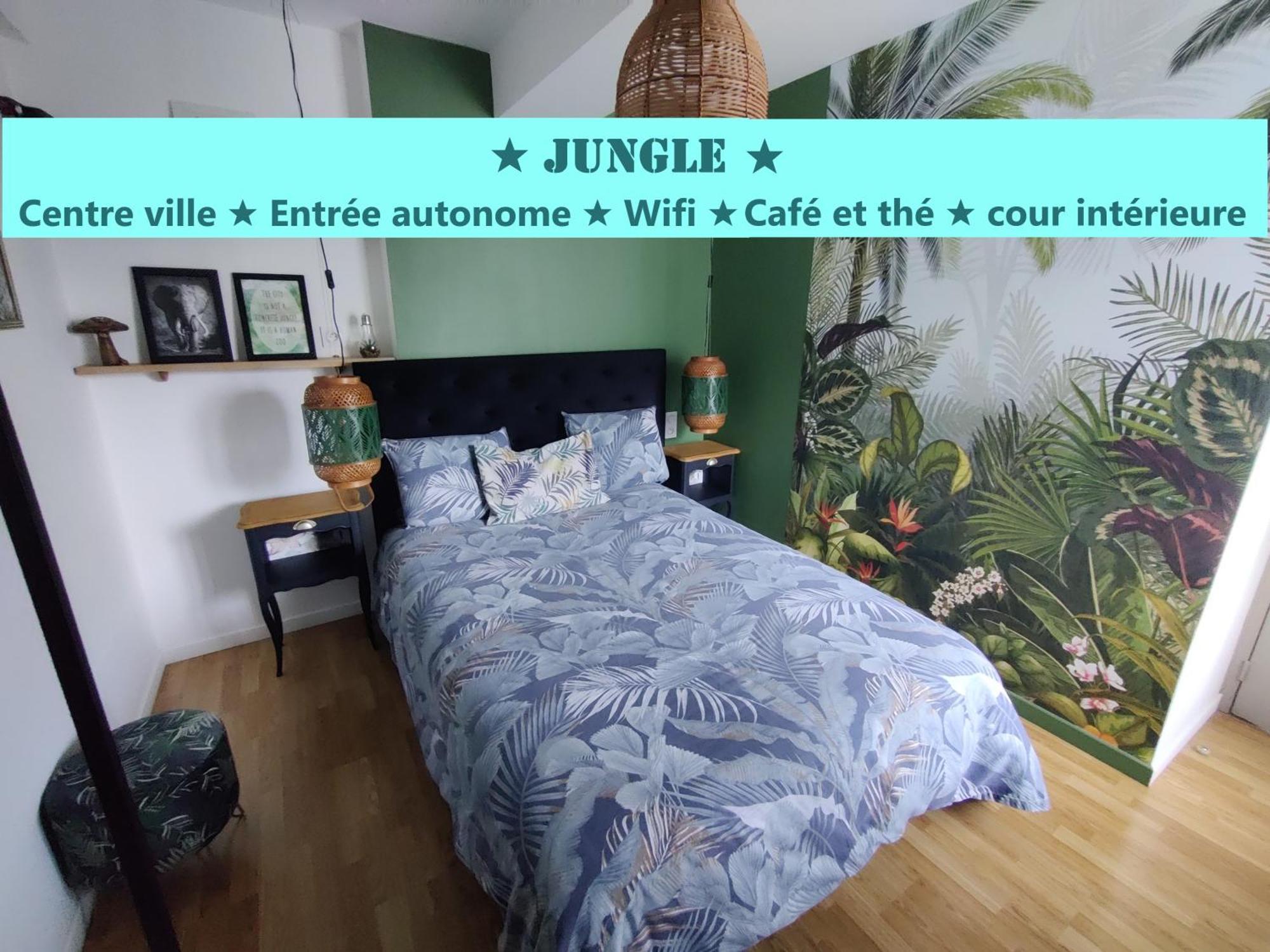 Appartement T2 "Jungle" Centre Ville De Vitre Au Calme Cote Cour Dış mekan fotoğraf
