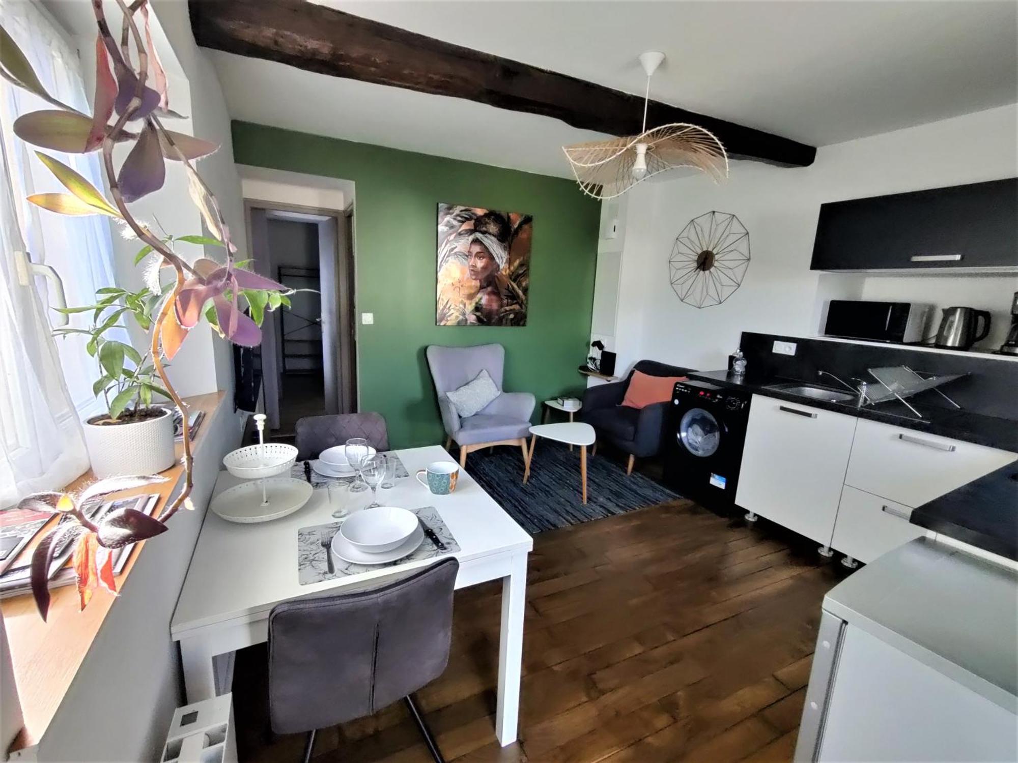 Appartement T2 "Jungle" Centre Ville De Vitre Au Calme Cote Cour Dış mekan fotoğraf
